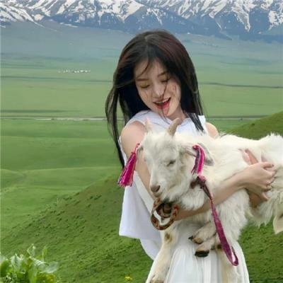 普京宫殿：史上最大的贿赂